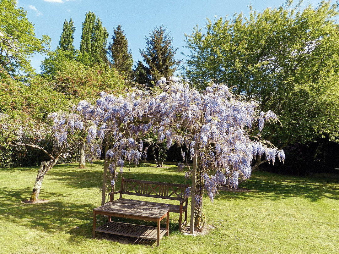 Le Jardin de Josseline主图