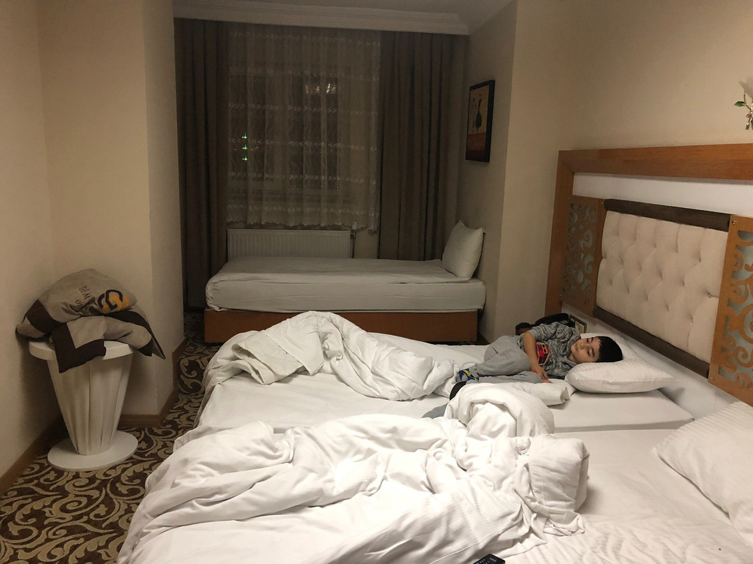 Demosan City Hotel主图