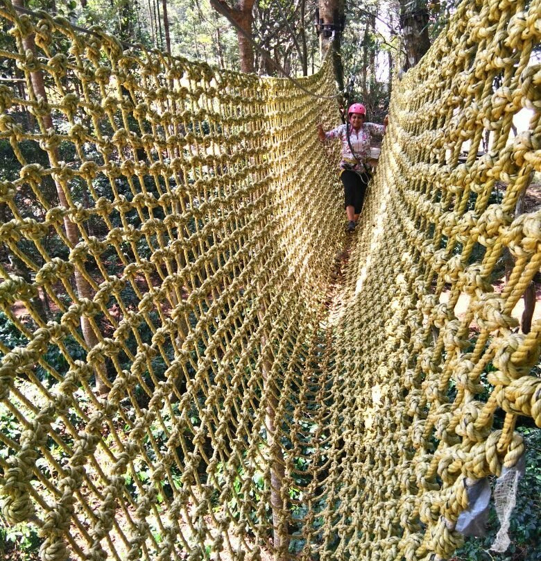 Grange TreeTop Adventure景点图片