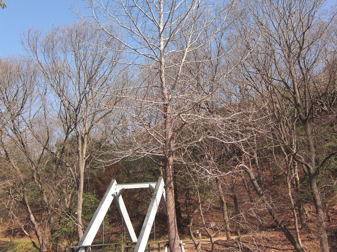Mikiyama Forest Park-三木市必去景点