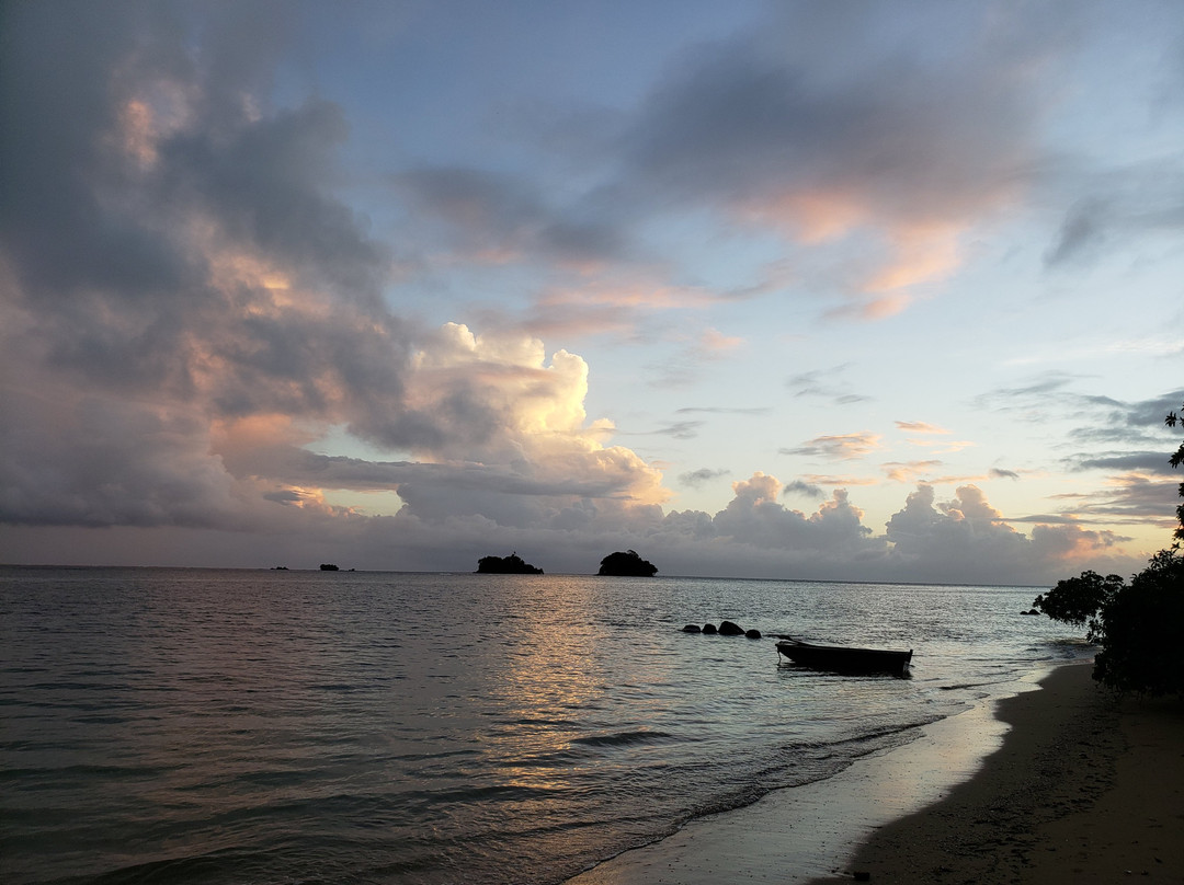 椰林海滨别墅主图