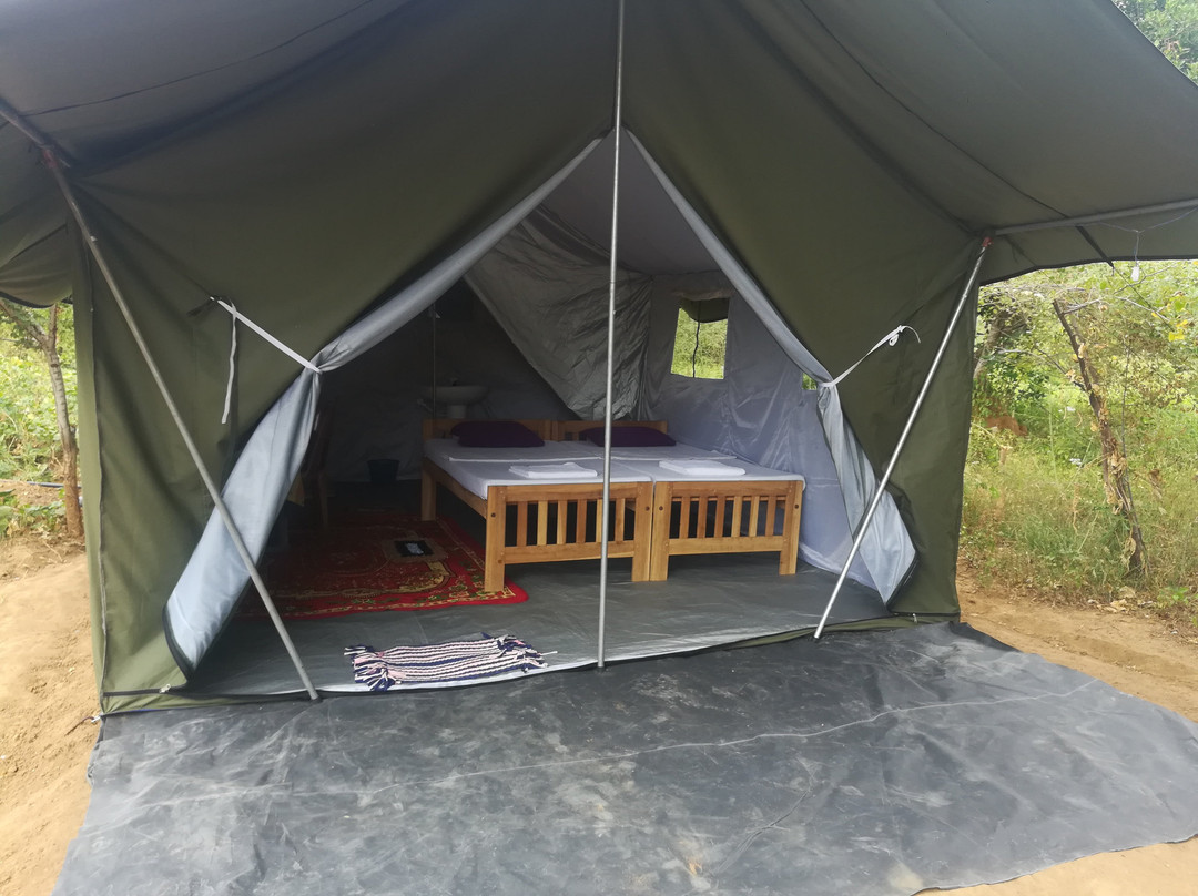 Wild Eco Safari