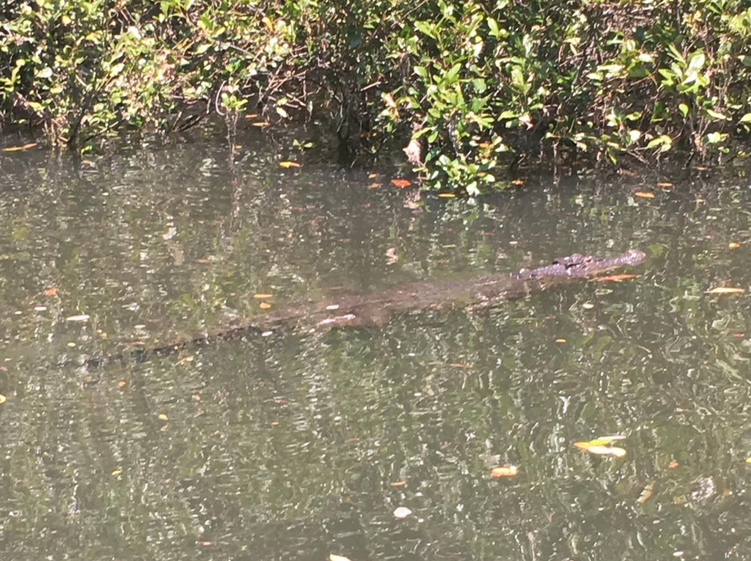 Tony's Tropical Tours-道格拉斯港必去景点