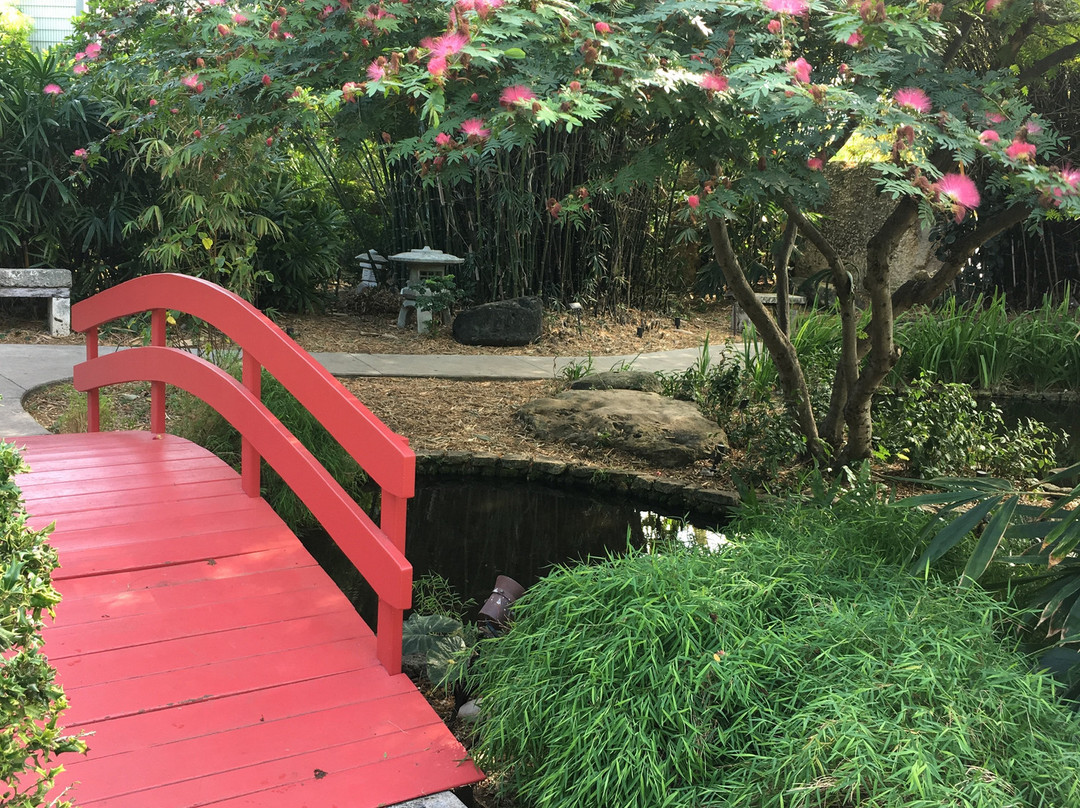 Miami Beach Botanical Garden景点图片