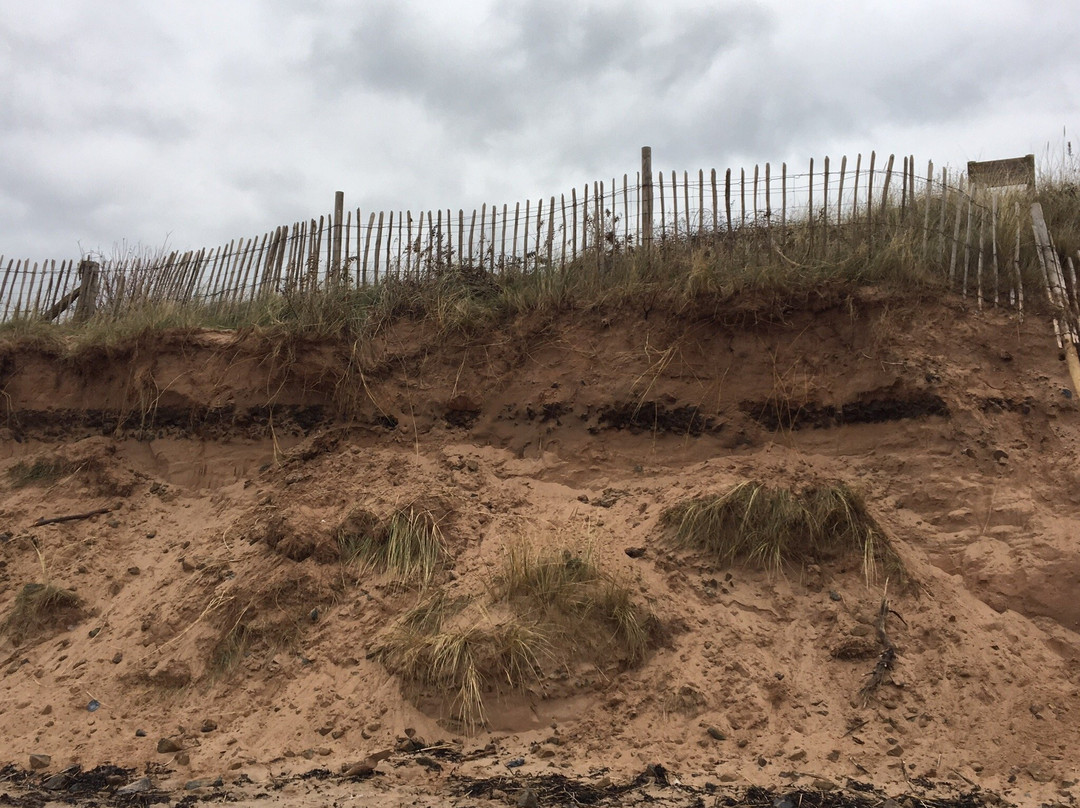 Dawlish Warren Nature Reserve-道利什必去景点