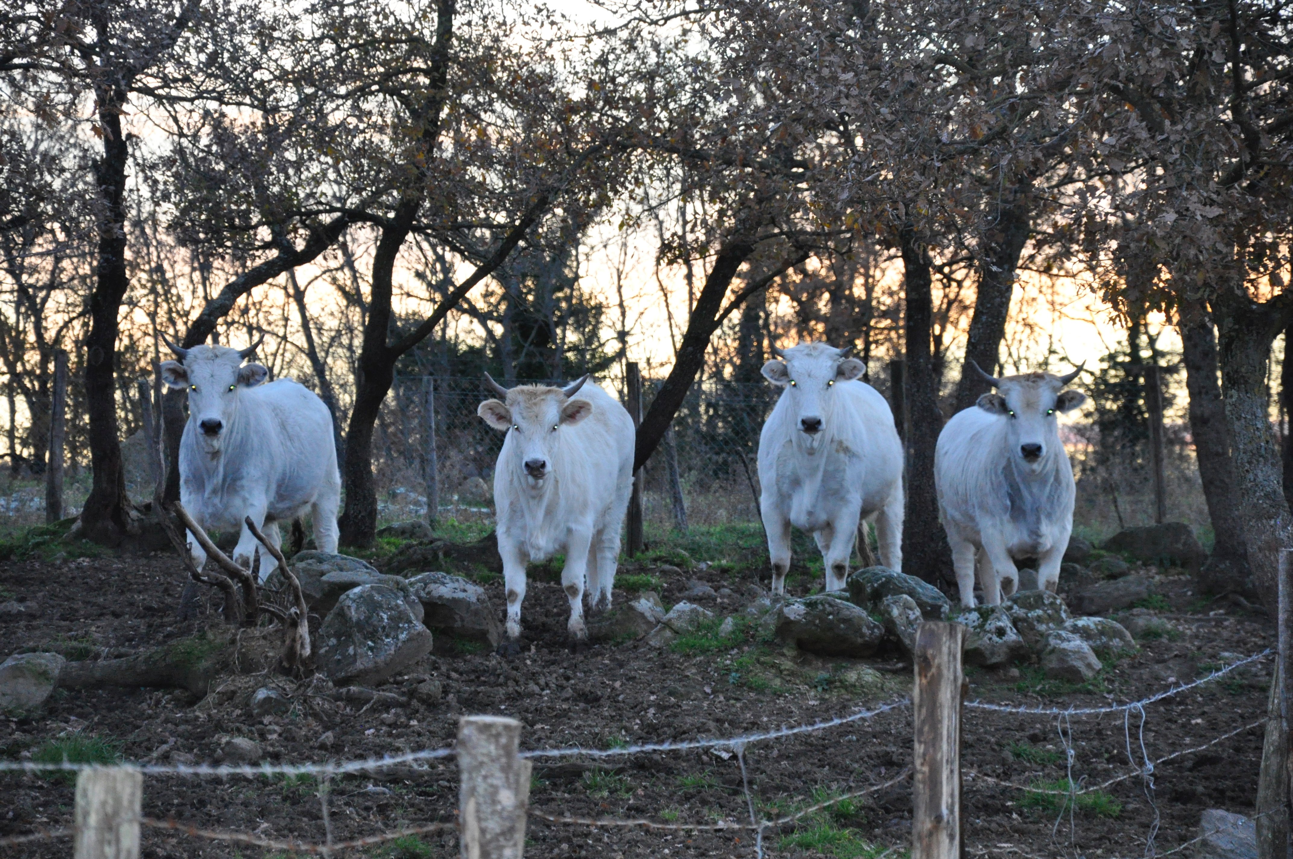 Agriturismo Poggio Della Capanna-浴室