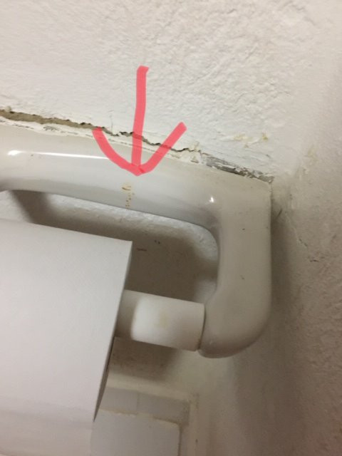 Hotel San Marcelino de las Rosas主图