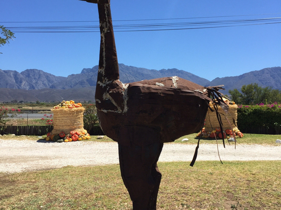 Die Pampoen Padstalletjie-伍斯特必去景点