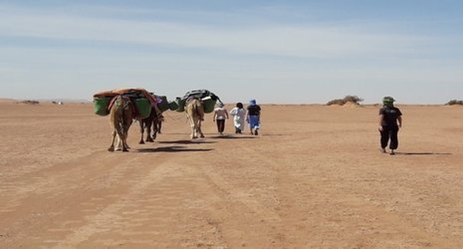 Desert Vacances-迈哈米德必去景点