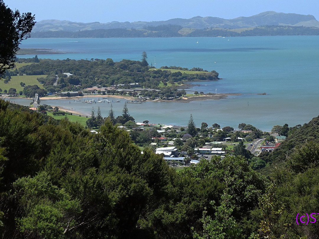 Opua Forest Lookout Track景点图片