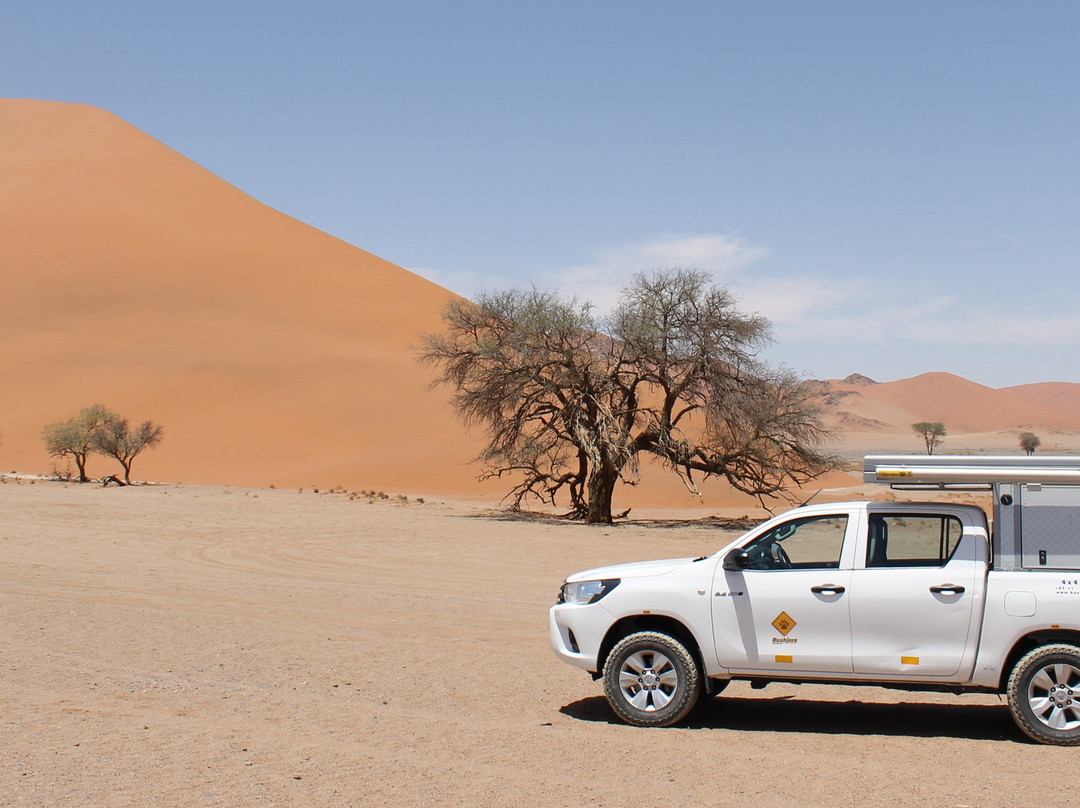 Bushlore Africa-中兰德必去景点