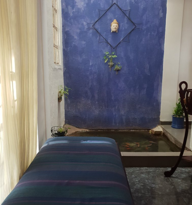 Breeze of Paradise Elite主图