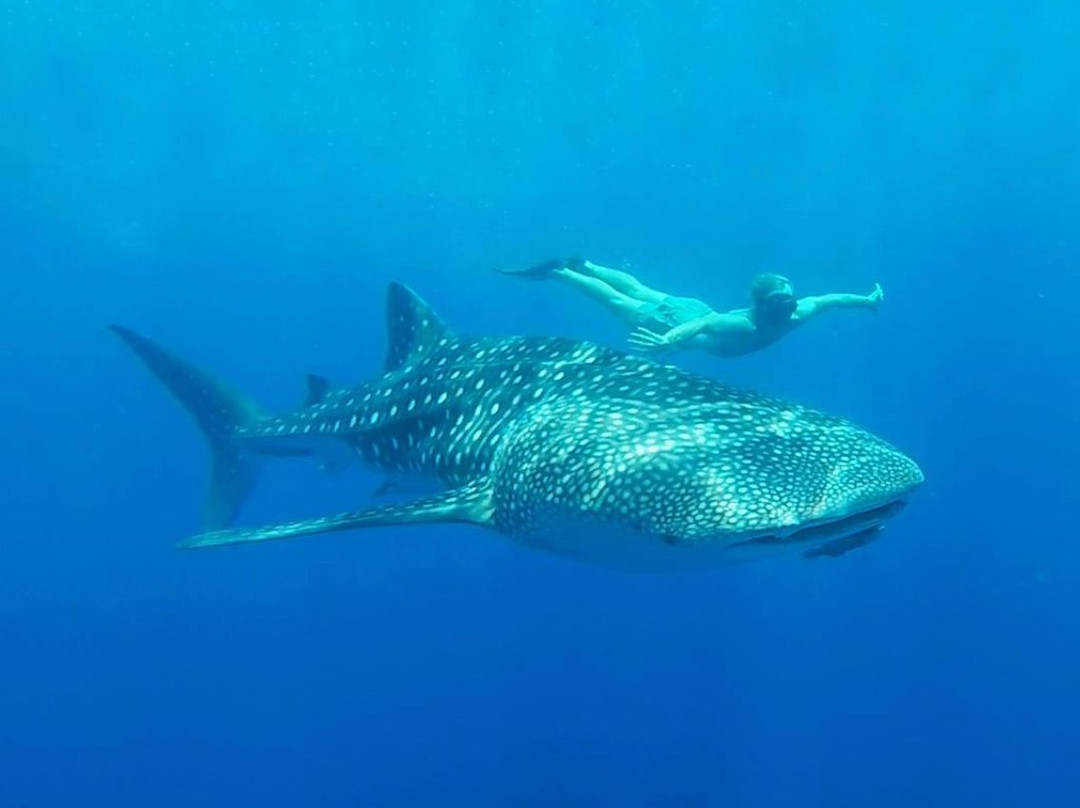 Indy Escapes-马累必去景点