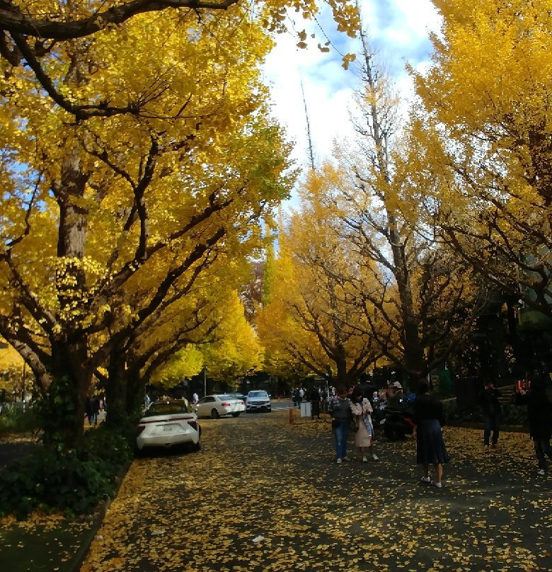 明治神宫外苑景点图片