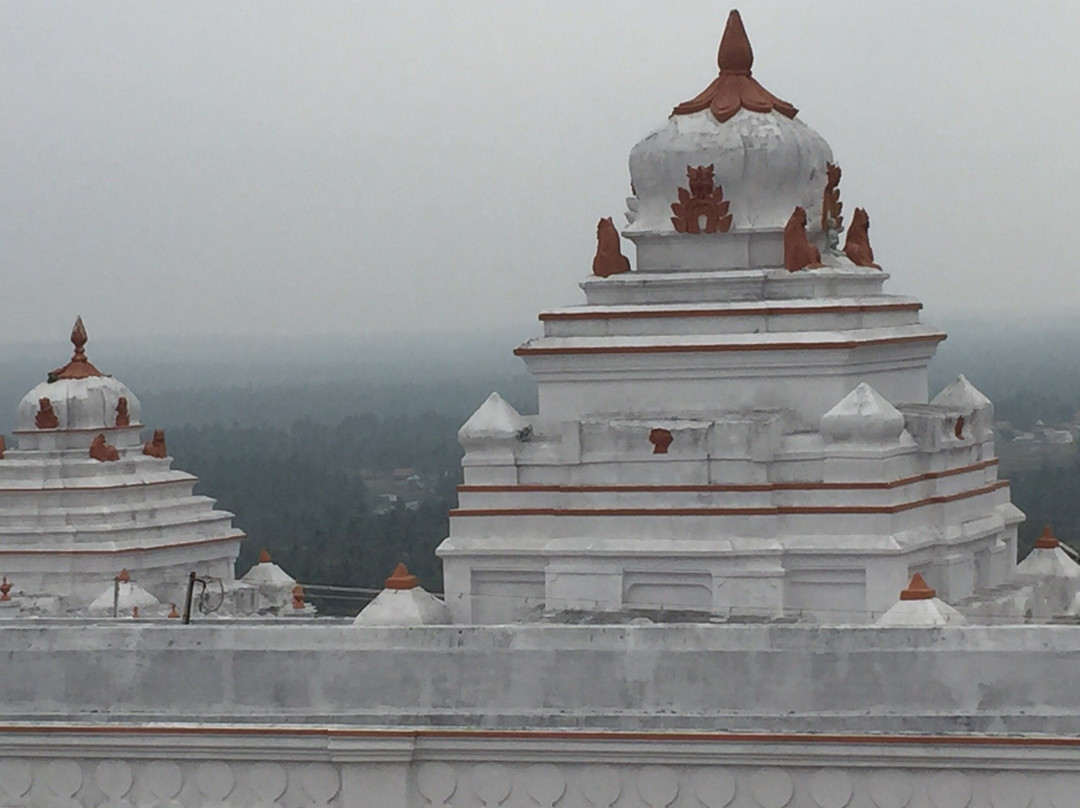 Chandragiri Temple景点图片