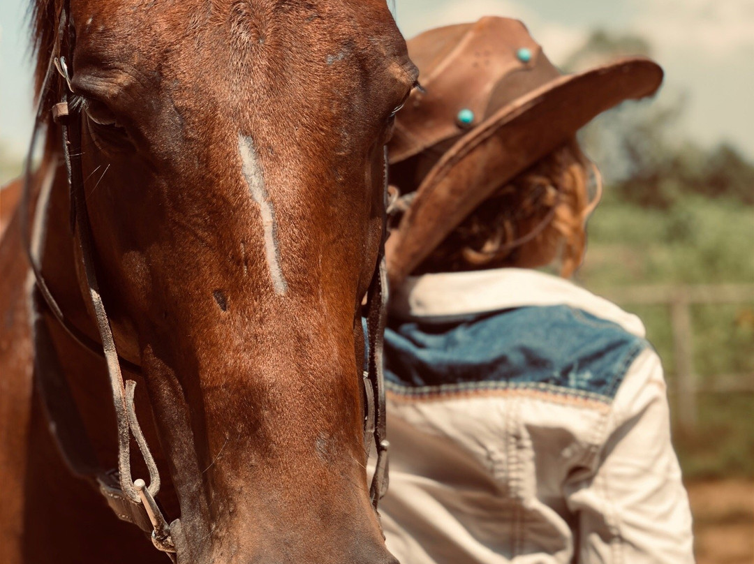 Second Wind Ranch and Rescue景点图片