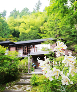 Kanaya Hotel History House景点门票图片
