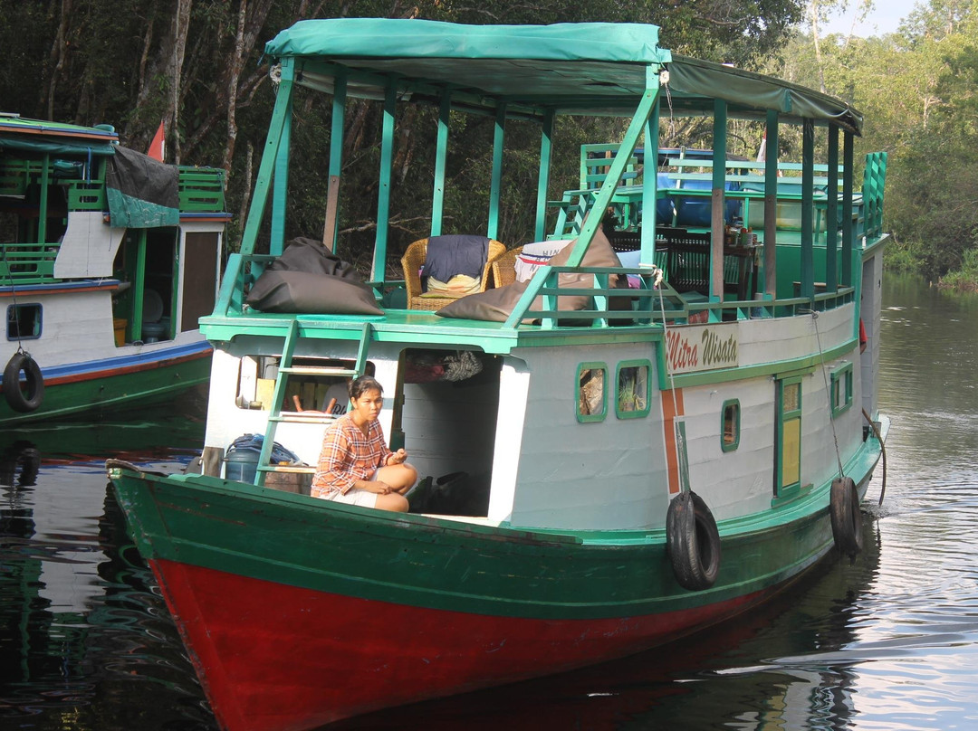 Orangutan & Dayak Tour PT Beeholiday Mitra Wisata-Pangkalan Bun必去景点