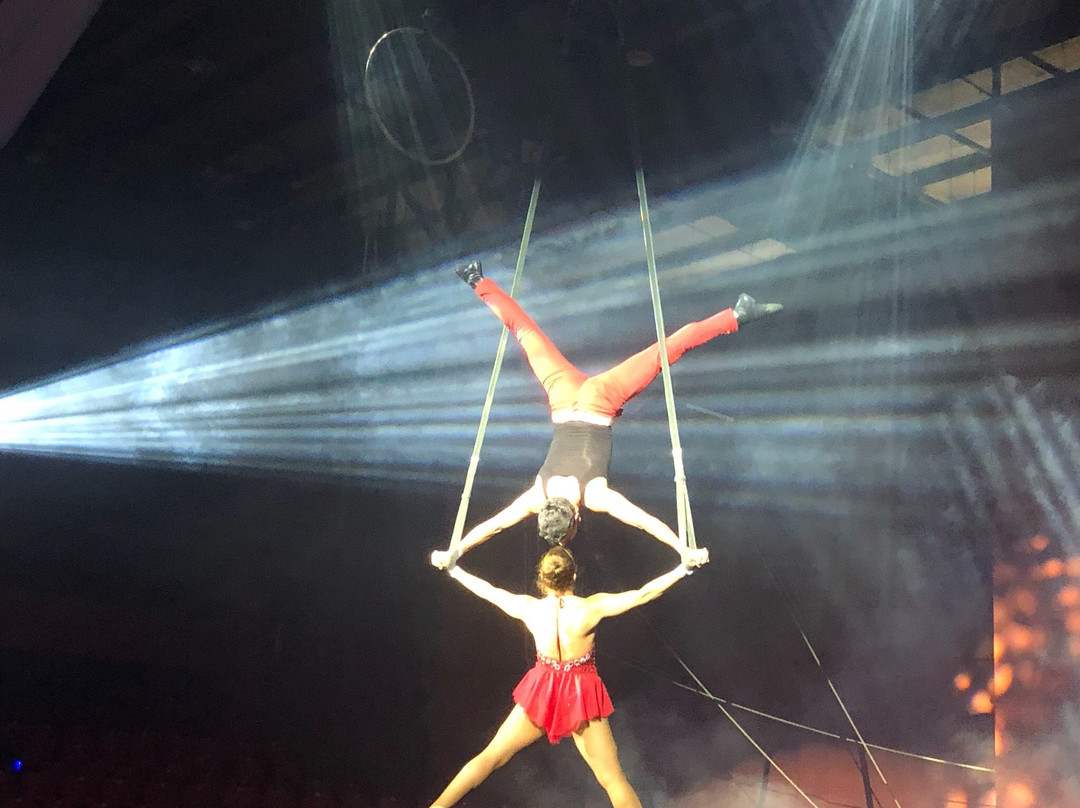 London Musical Circus景点图片