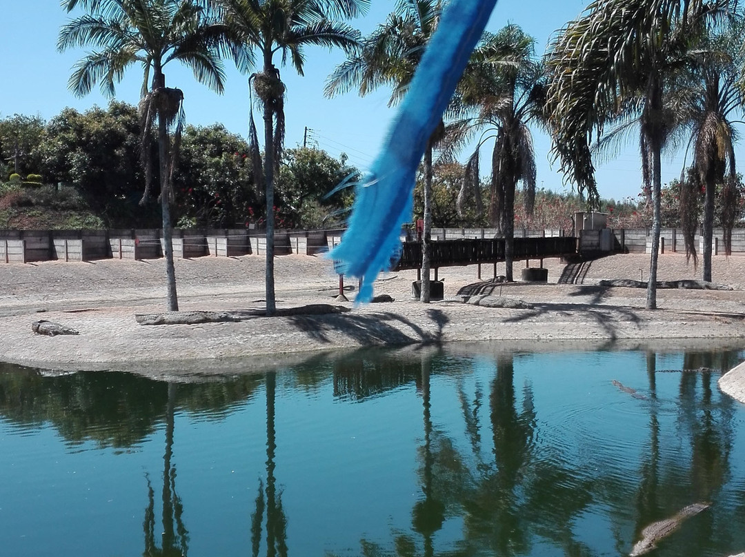 Agatha Crocodile Ranch-参宁必去景点