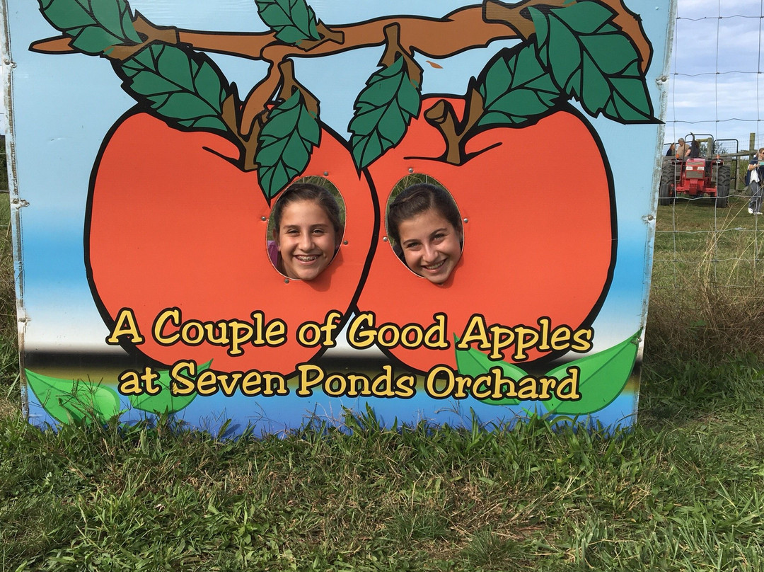 Seven Ponds Orchard景点图片