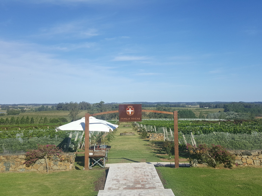 ​Agua Verde Hotel主图