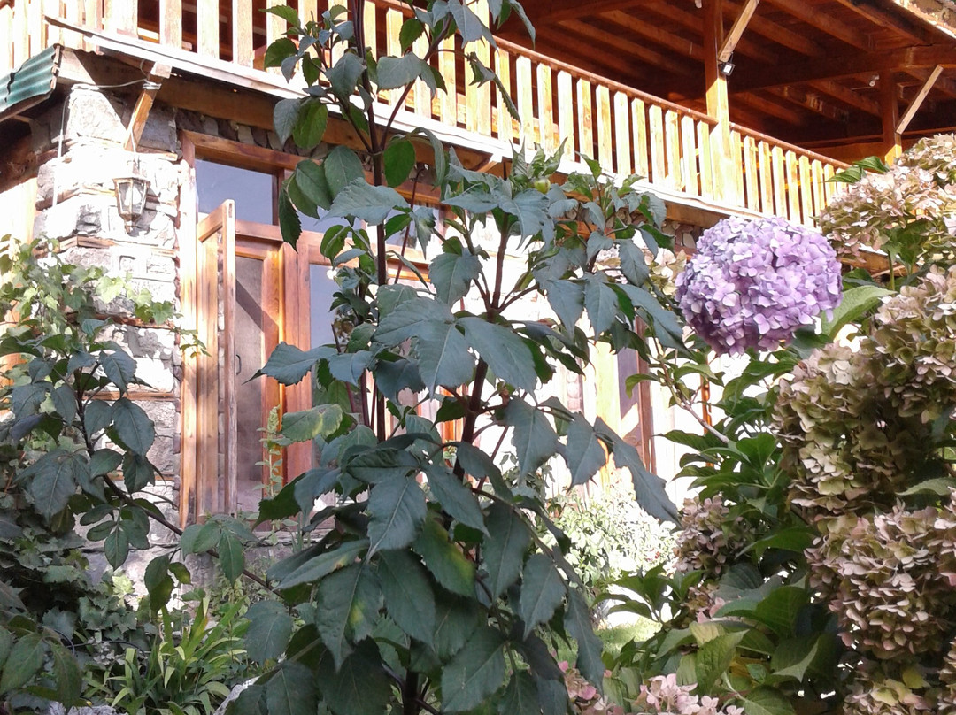 Walnut Heights by Roomy, Kalam主图