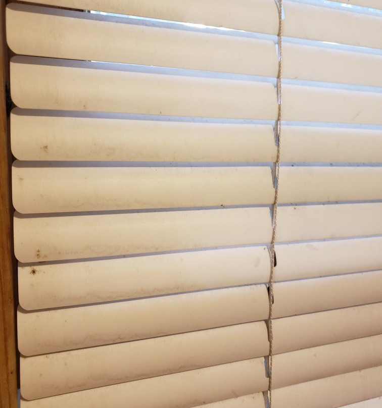 Baileys Sunset Motel & Cottages主图