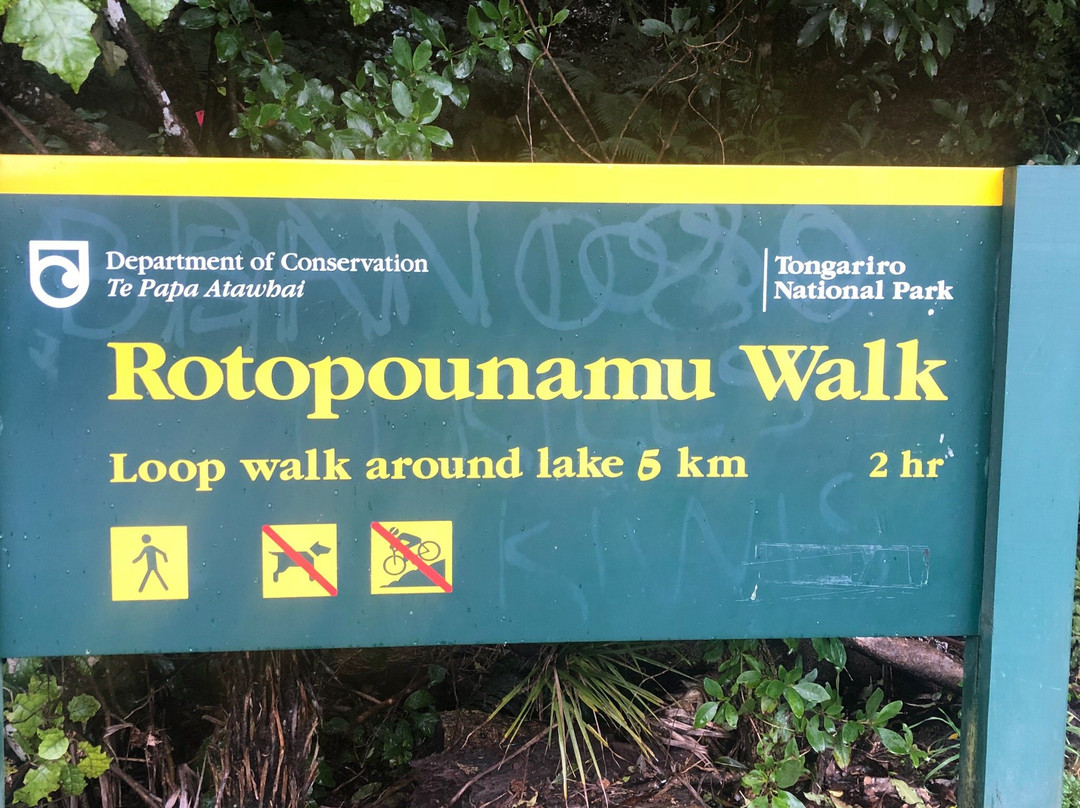 Rotopounamu Track景点图片