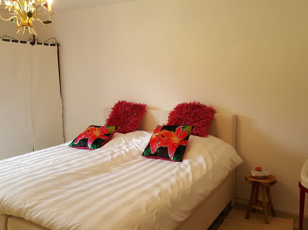 Gasthaus Berkhout主图