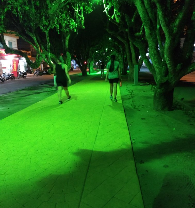 Túnel Verde de Itacoatiara-Itacoatiara必去景点