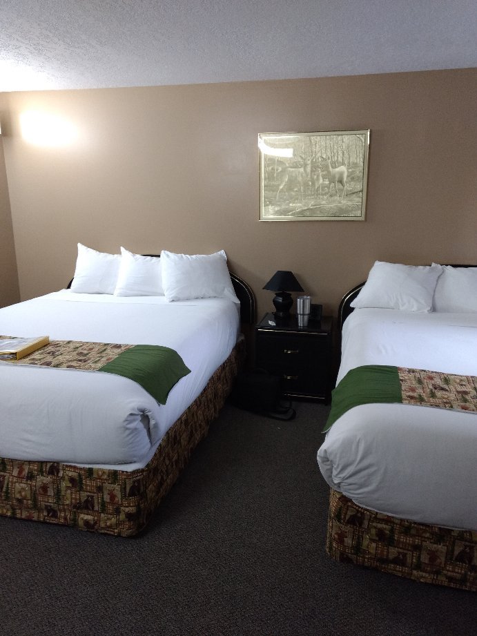 Bear Country Inn and Suites-官方