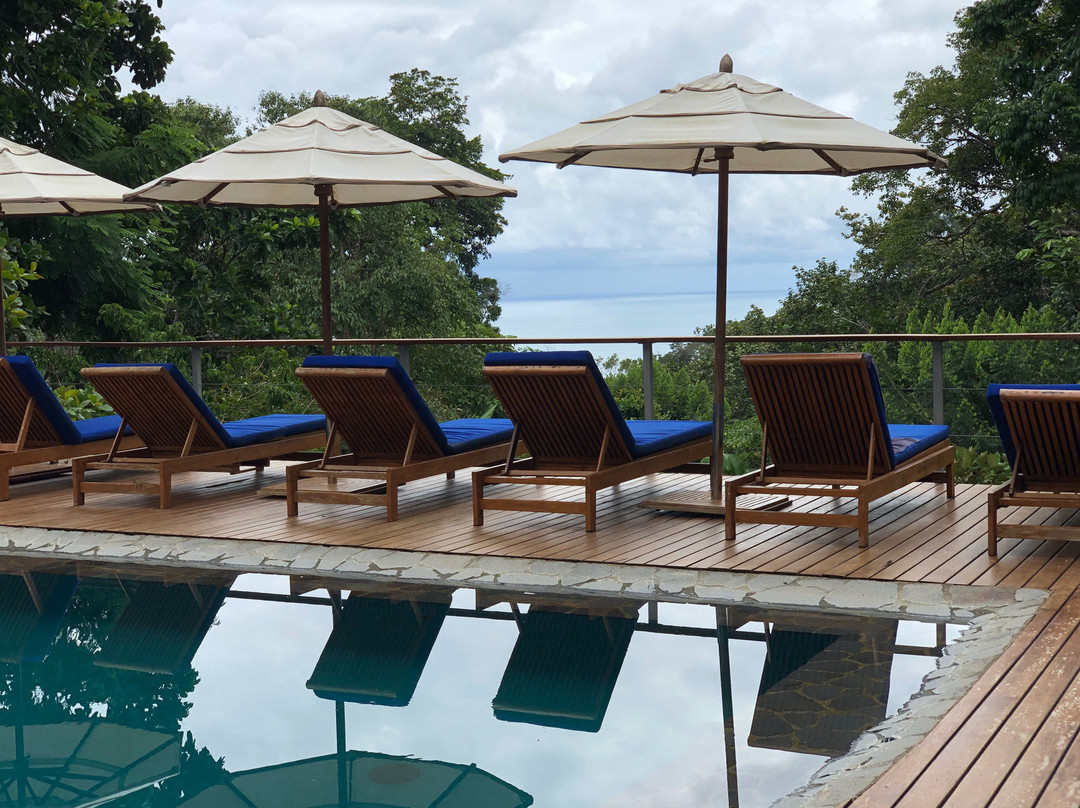 El Remanso Rainforest Lodge主图