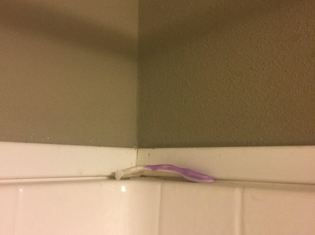 Bakken Airport Hotel & Suites XWA主图