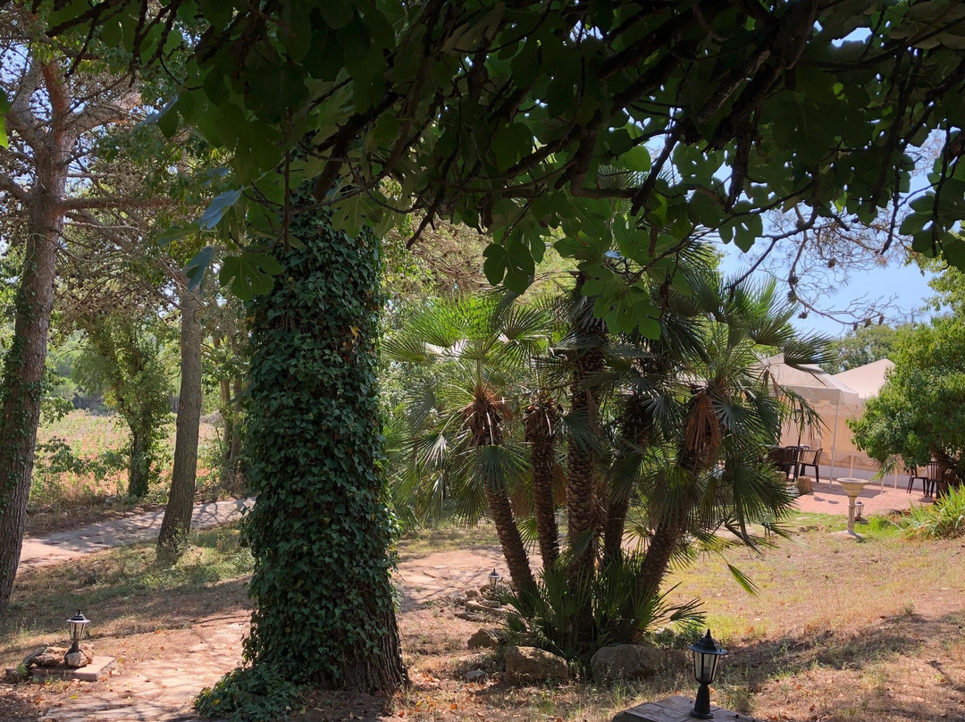 Montau de Sadurni-Begues必去景点