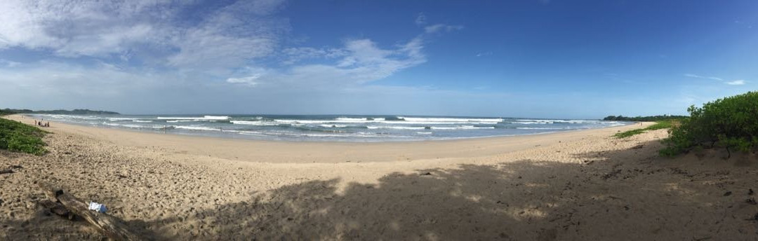 La Negra Surf Hotel主图