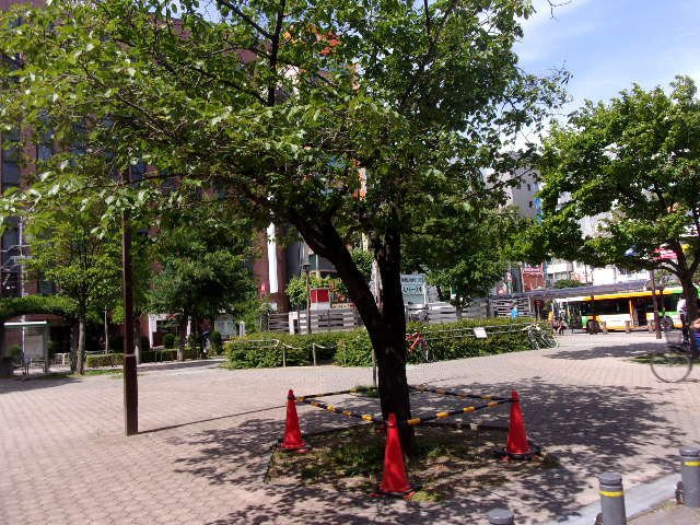 Kameido Ekimae Park景点图片