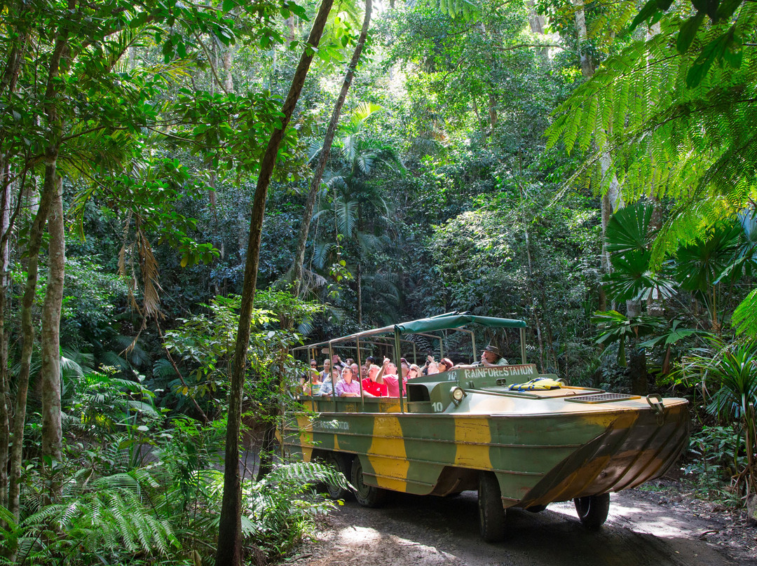 库兰达热带雨林自然公园景点图片