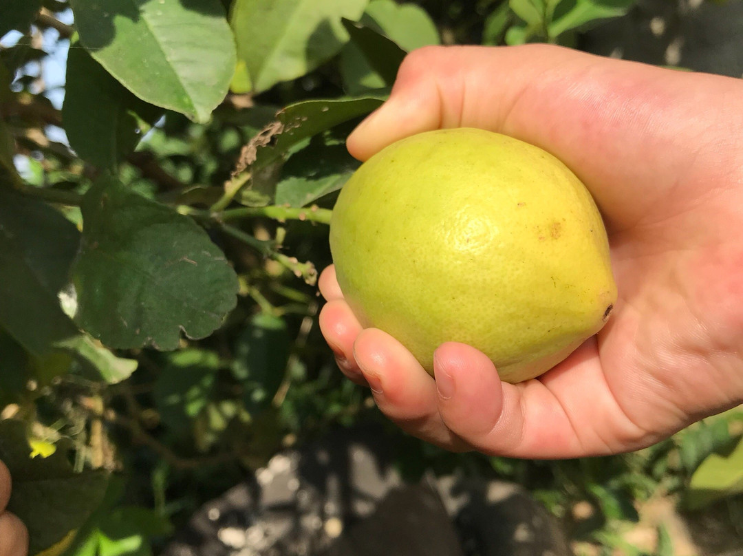 鹤山古劳水乡-鹤山市必去景点