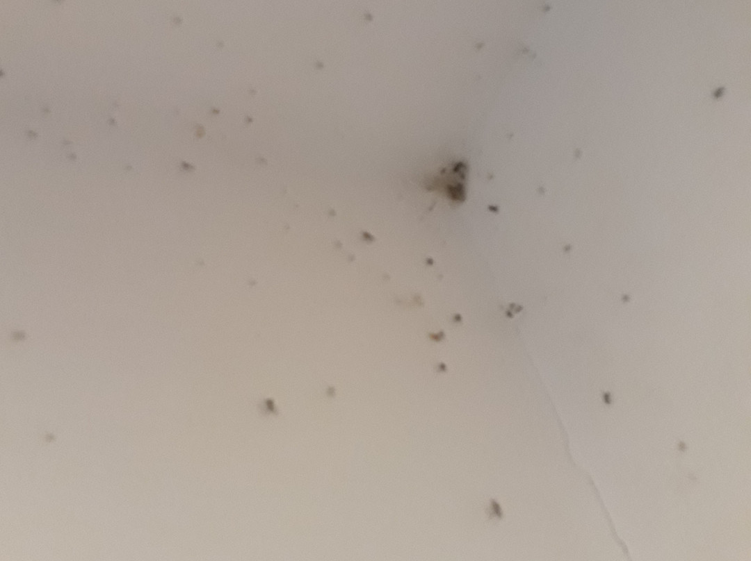 Rimkaeng Resort主图