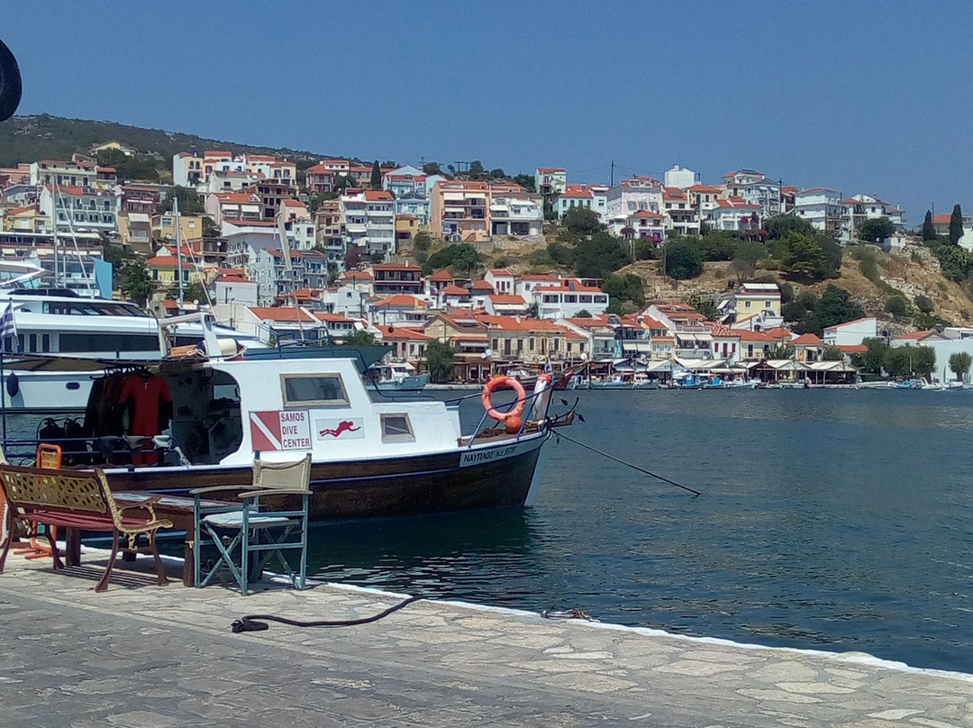 Hotel Polyxeni主图