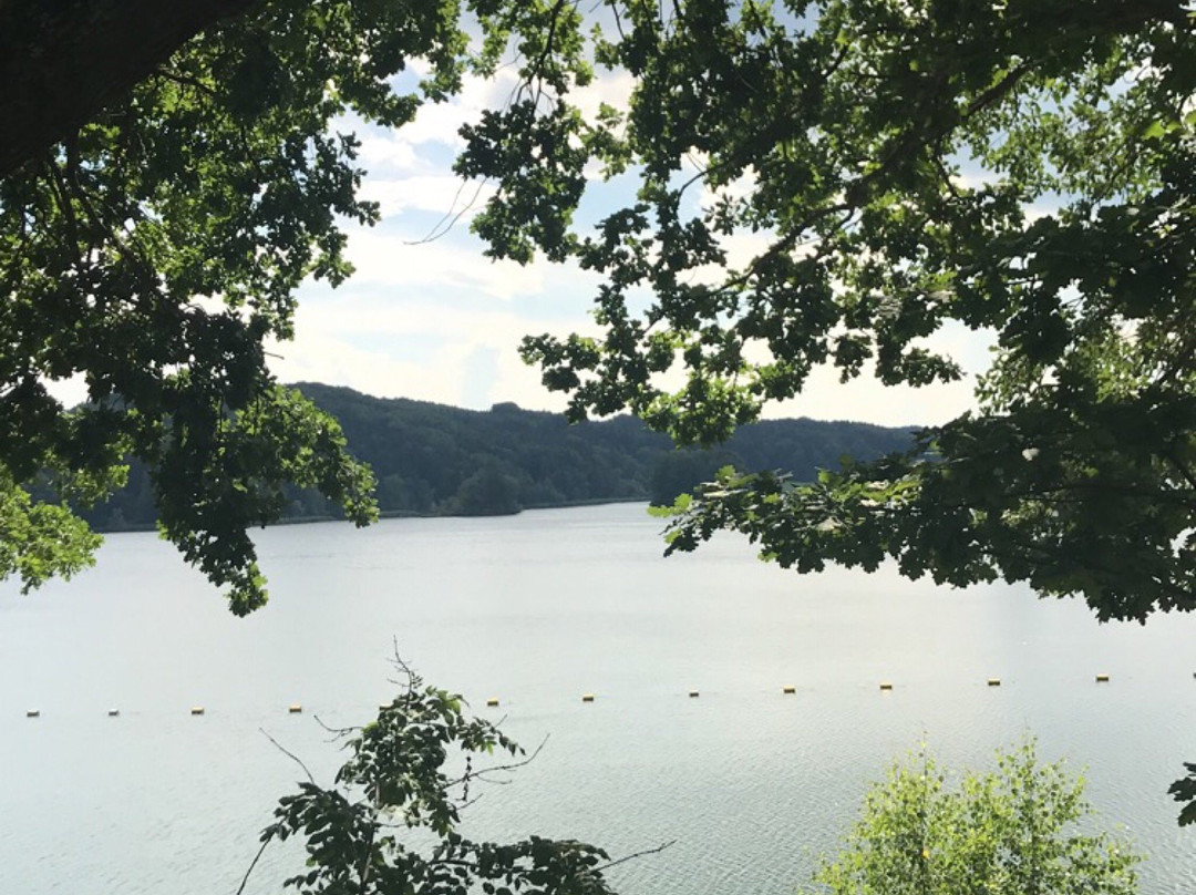 Campingplatz Seehamer See