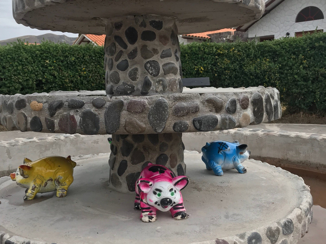 Casona Plaza Ecolodge Colca主图