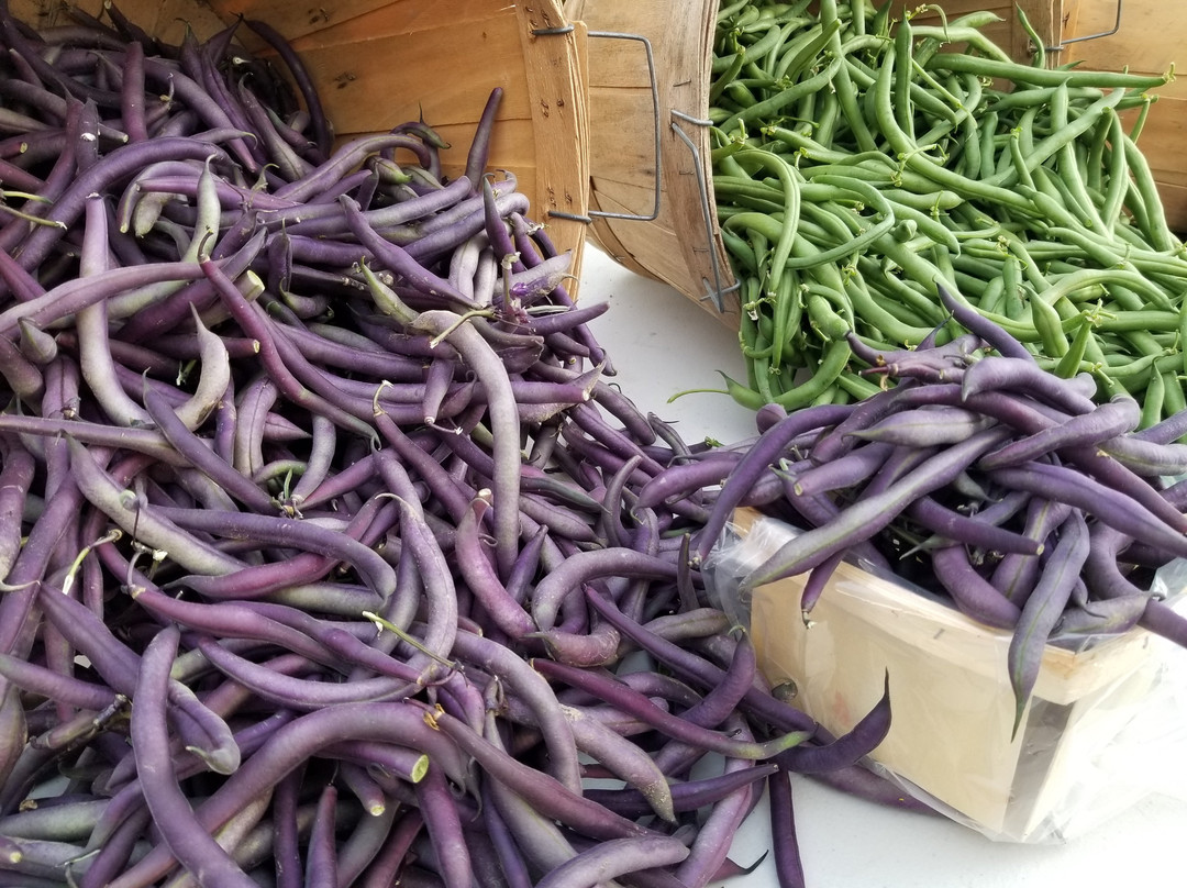 Hamburg Farmers' Market景点图片
