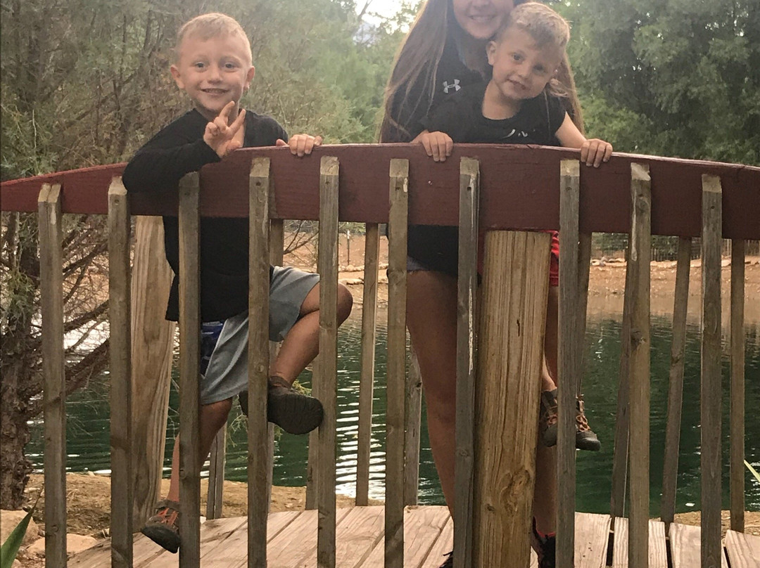 Questa Lodge LLC