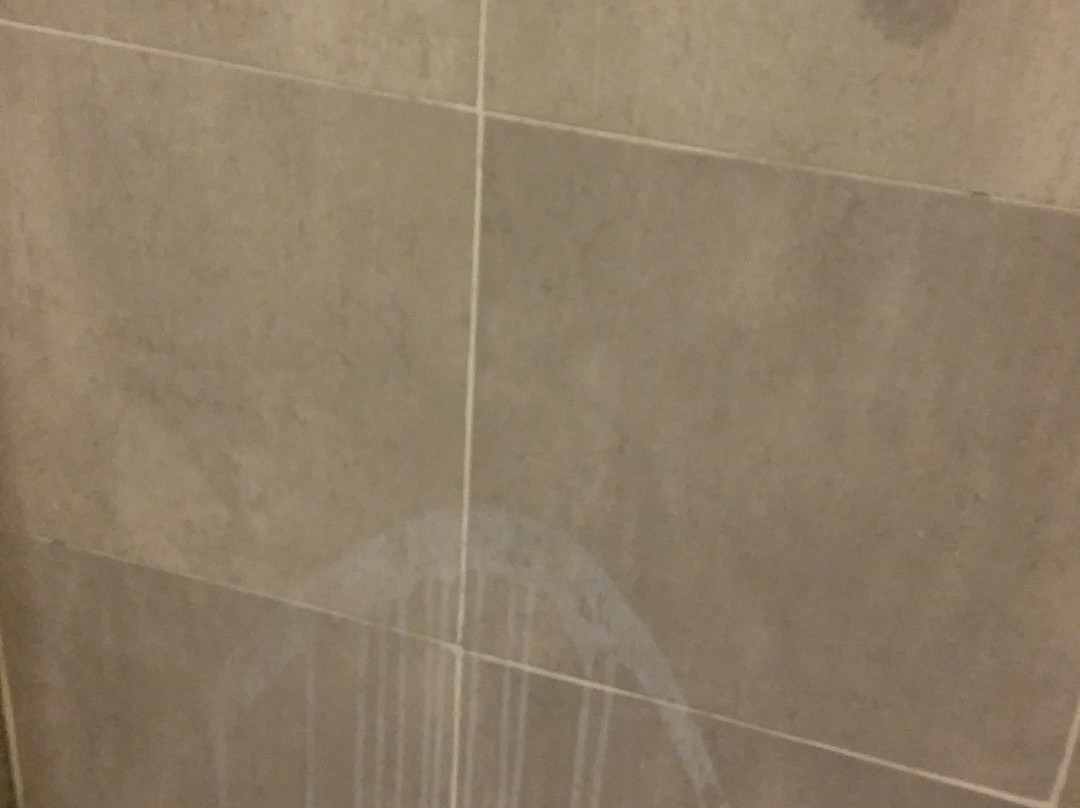 Posada del Bosque Carilo主图