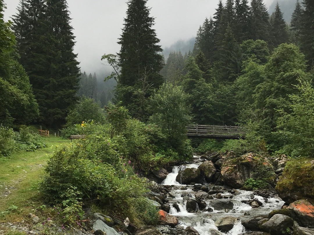 Sintersbacher Wasserfall景点图片