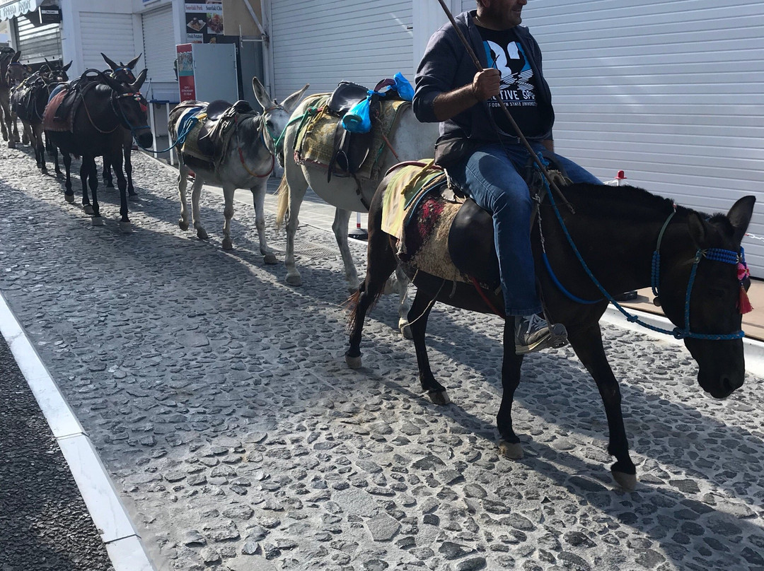 Greek Travelling-雅典必去景点