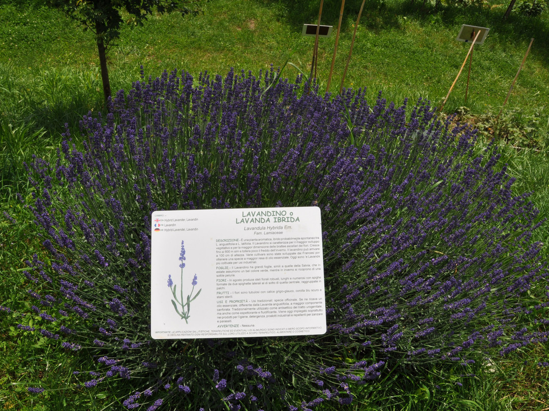 Giardino di Don Zocca-Badia Calavena必去景点