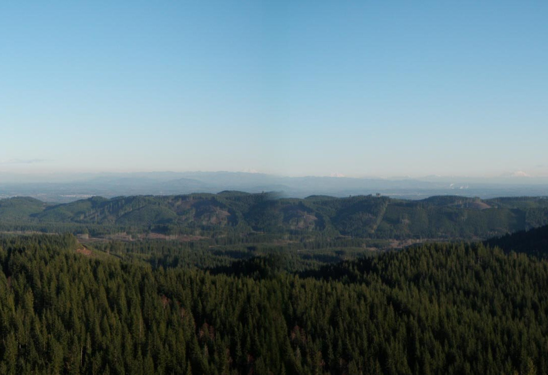 Capitol State Forest-奥林匹亚必去景点